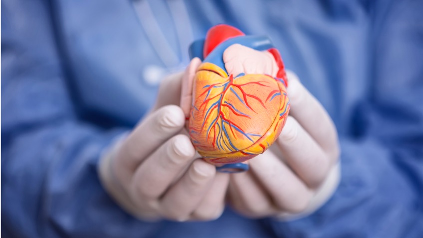 Organspende In Der Schweiz Wer Nicht Spenden Will Muss Klartext